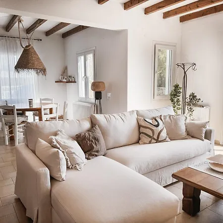 The Mykonos House - Newly Renovated Near Town Holiday home *