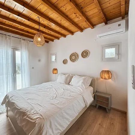 The Mykonos House - Newly Renovated Near Town Holiday home